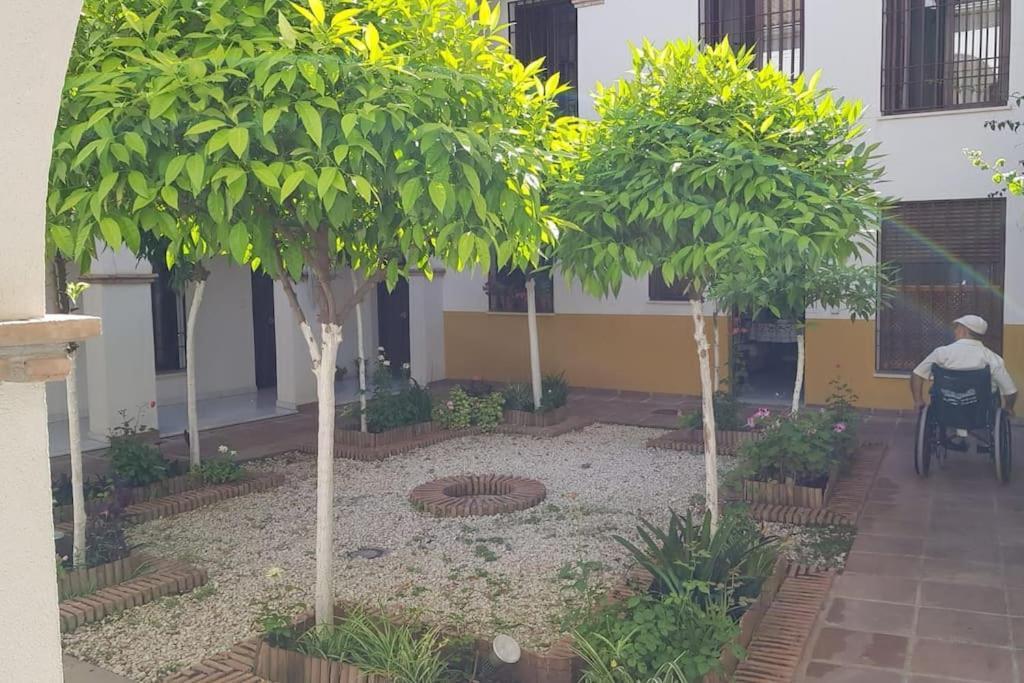 Precioso Junto A Plaza La Corredera Appartement