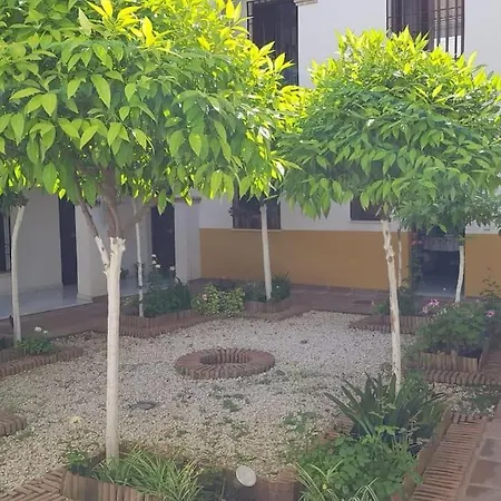 Precioso Apartamento Junto A Plaza La Corredera Cordoba Exterior photo
